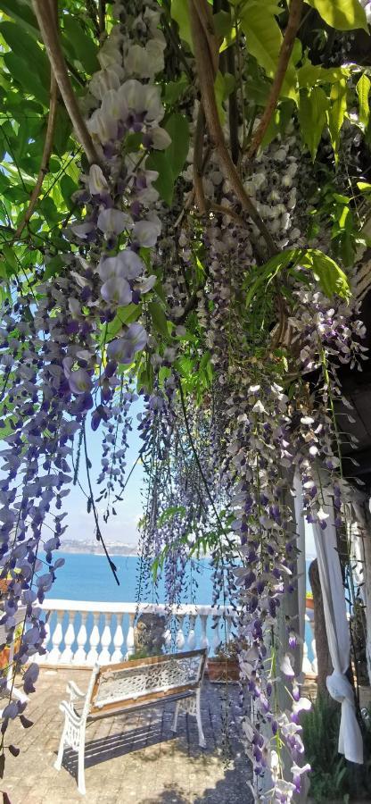Summer Paradise Procida