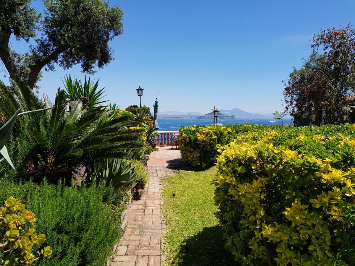 Summer Paradise Bed & Breakfast
