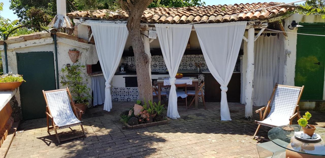 Summer Paradise Bed & Breakfast *