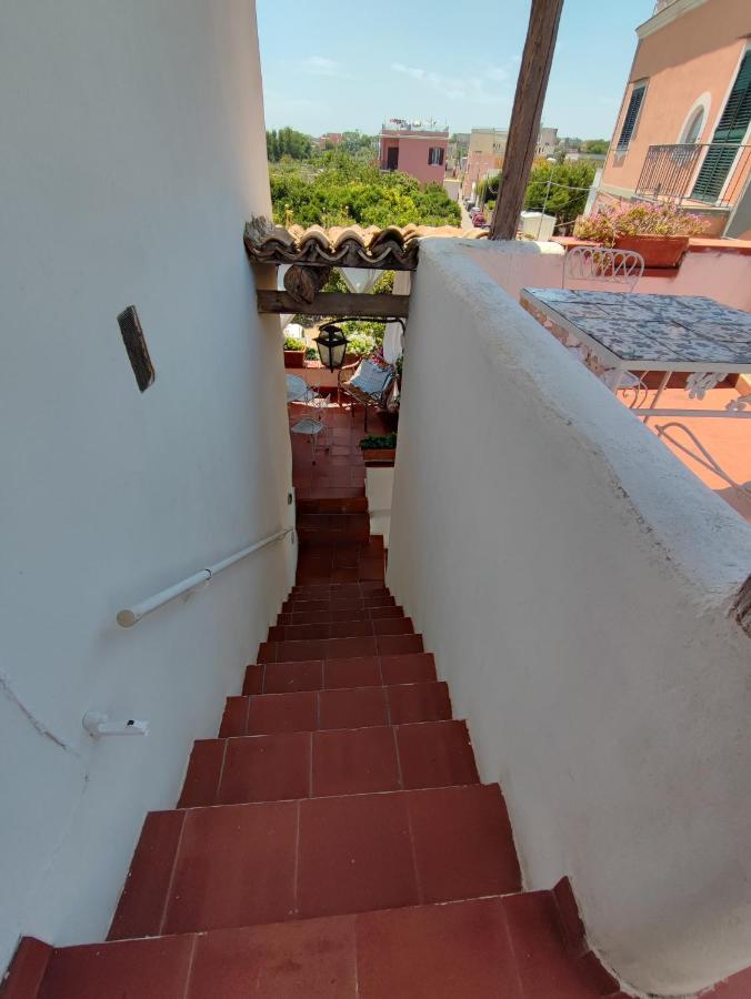 Bed & Breakfast Summer Paradise *