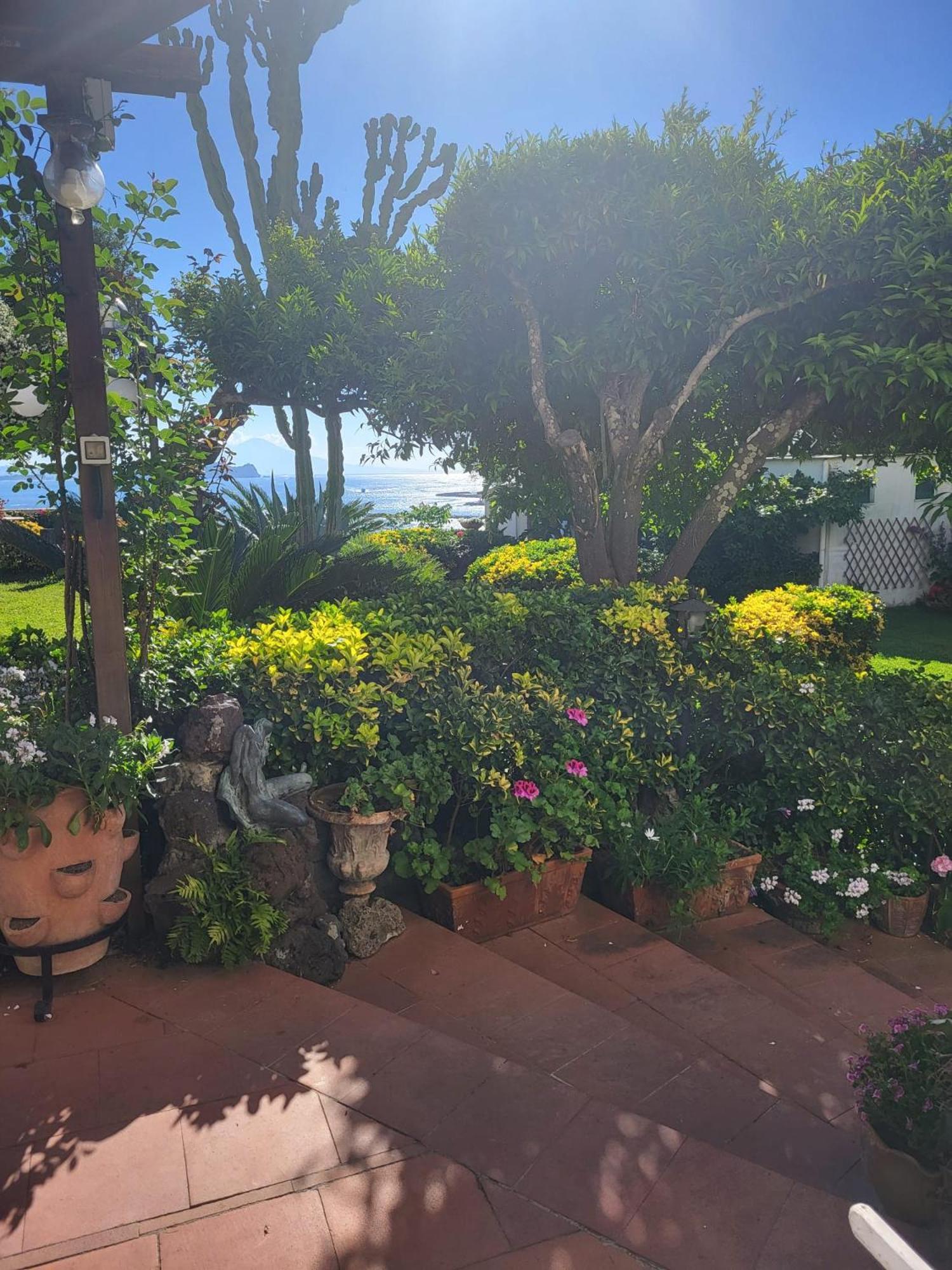 Summer Paradise Bed & Breakfast *
