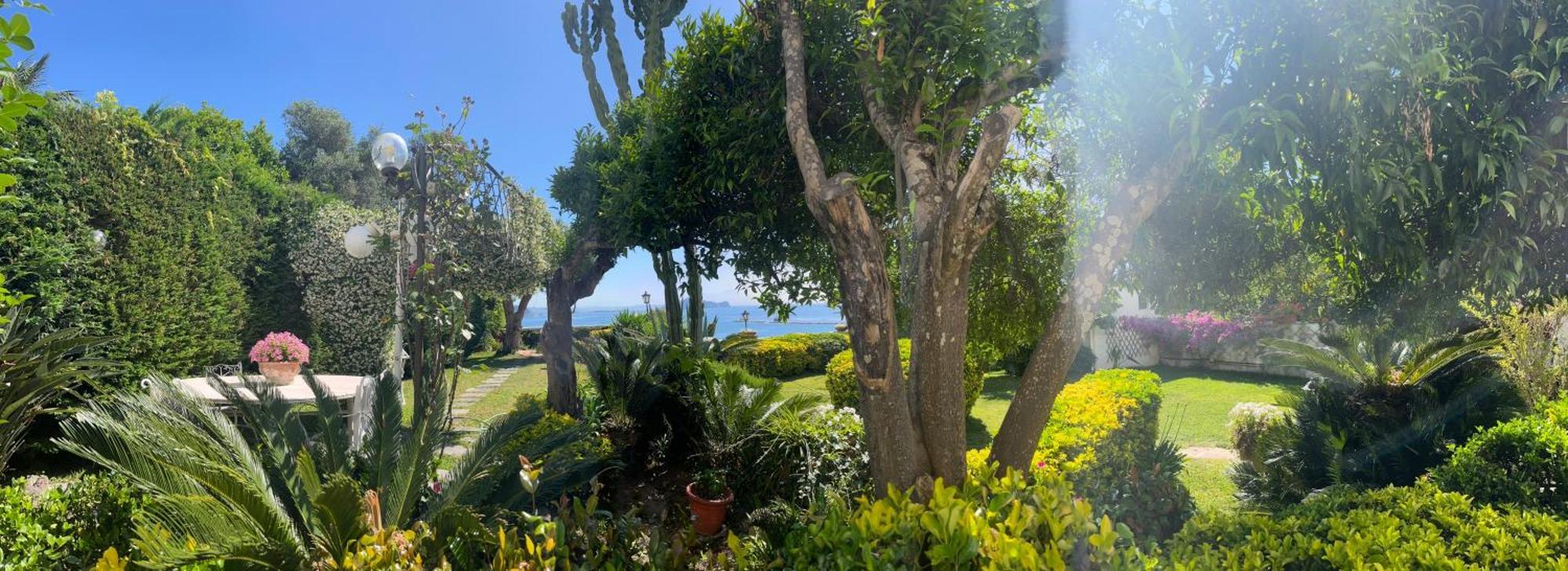 Bed & Breakfast Summer Paradise Procida