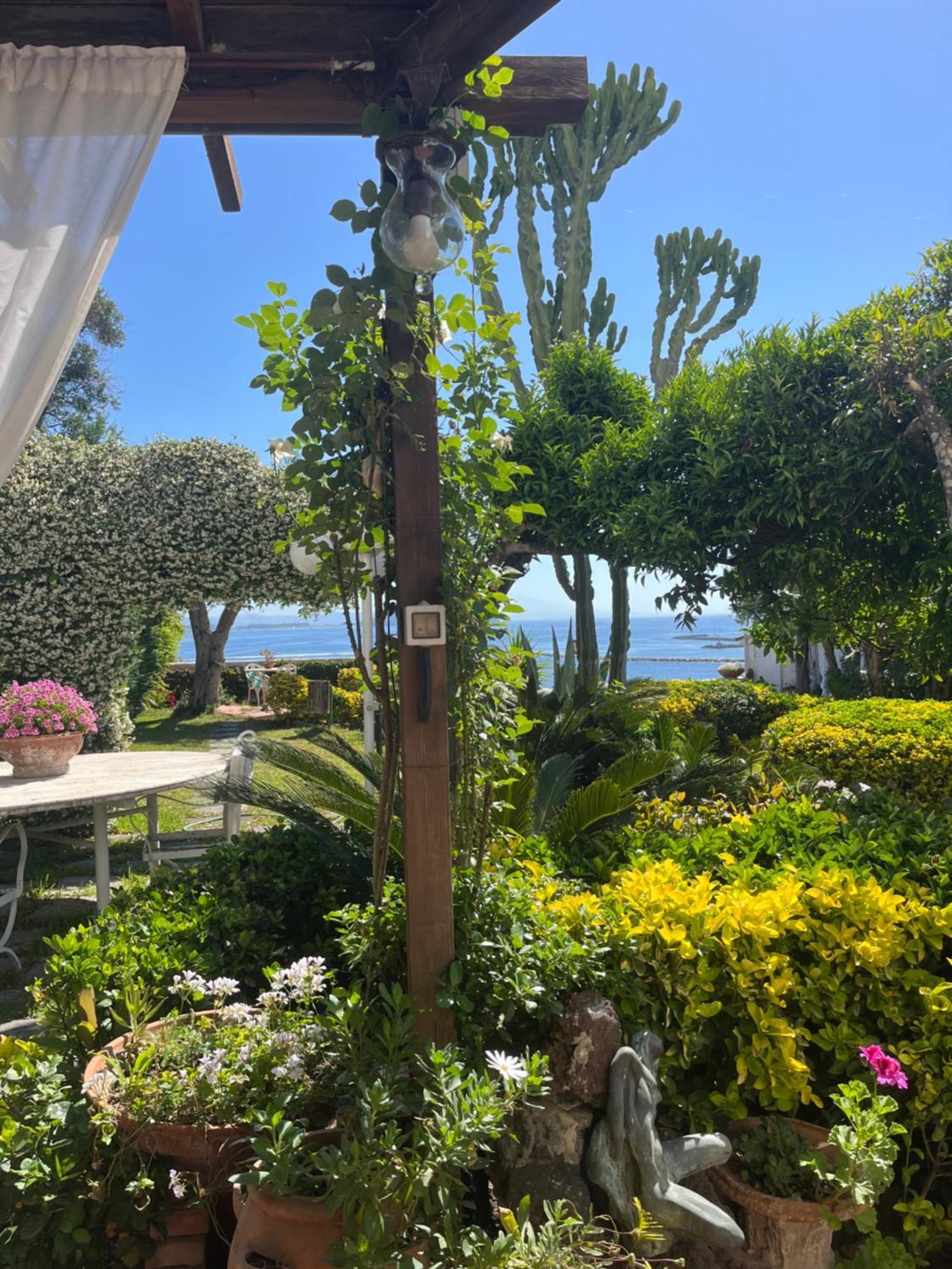 Bed & Breakfast Summer Paradise *